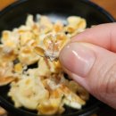 다다하다토곡점 | 부산 연산동 이자카야 다다하다 부산토곡점 솔직후기