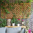 테라스힐 이미지