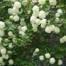 공작마을부영2차 이미지