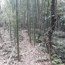 신평리 도요지 이미지