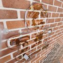 경일초등학교 이미지