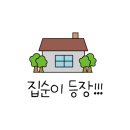봄파마 이미지