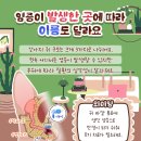 더펫동물병원 이미지