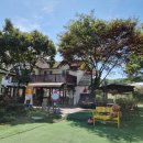 피오르디 젤라또 이미지