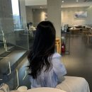 GS25상주IC점 | |아씨의 내돈내산 가평 맛집| 골든트리 가평(분좋카/대형카페/상주묘O)재방문 후기