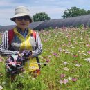 장자호수길 이미지