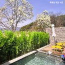 신광목욕탕 이미지