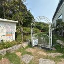 도그마미 | 파주 야당동 반려견 복합공간, ‘자빠따 도그’ 방문 후기