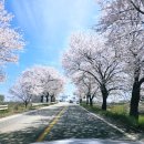 강변자전거길 2 | 평택자전거길 [평택강]