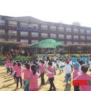 상정초등학교 이미지