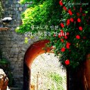 항구도시 이미지