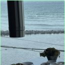 바다를 품은 돼지 이미지