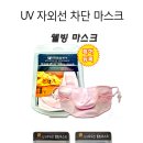 웰빙박스 Daum카페