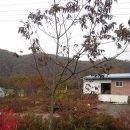 너울농장 이미지