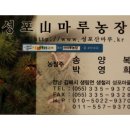 성포농장 Daum카페