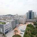 곁애 이미지