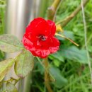 종합운동장길 이미지