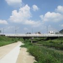 8월21일 소풍정원-서정리천(평택섶길-11코스=14) 이미지