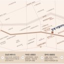 아델리아 이미지