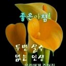 강서향군 화곡6동 회장 예정자 면담 이미지