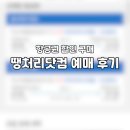 땡처리닷컴 태국 치앙마이 왕복 항공권 20만 원대 예매 후기