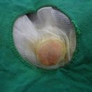 부자동물병원 이미지