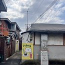 타코야끼인문어 | [용산역] 포동푸딩: 타코야끼 만들기 체험 솔직후기 용산역 근처 놀거리