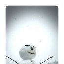 월천농장 이미지