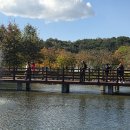 진북초등학교 이미지