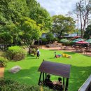 피첼로 비앤디(P'cello B&D) 이미지