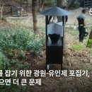 [브리핑] 2025/06/20 러브버그를 잡기 위한 광원·유인제 포집기, 효과가 있으면 더 큰 문제 이미지