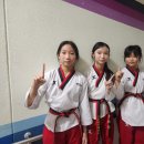 큰나무태권도장 이미지