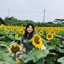 다인농장 이미지