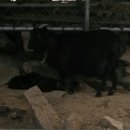 베다니농장 이미지