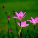 쉼표약국 이미지