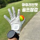 골프학교 아이러브골프 | 동남아 골프여행 준비물 아이러브핏 골프장갑 착용 후기