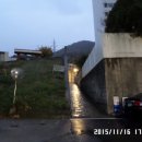 동문그린 이미지