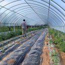 새터마을협동조합 이미지