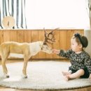 해솔스튜디오 이미지