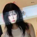애니미용실 - 춘천시 | 애니미용실