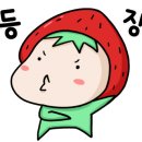 윤선생클린 이미지