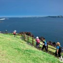 성산일출봉 이미지