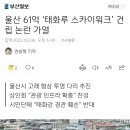 울산 61억 ‘태화루 스카이워크’ 건립 논란 가열 이미지