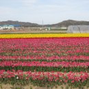 점암농장 이미지