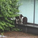 기타시설 | [정선] 파크로쉬는 쉬는 것도 다르다! 글라스하우스, 도서관, 기타 편의시설 후기