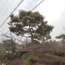 안산1길 이미지