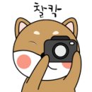 엠에스카오디오 이미지