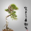 디자인명수