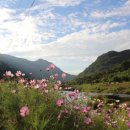 꽃길펜션 이미지