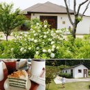 강천중학교 | [경기 여주] 카페 여주. 넓고 이쁜 야외정원 카페에서 힐링! 아이랑 가기 좋은 카페 추천이요!